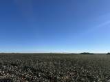 0 Co Rd 5200 - Photo 41