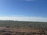 0 Co Rd 5200 - Photo 47