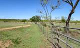 15351 Co Rd 129 - Photo 35