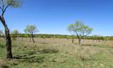 15351 Co Rd 129 - Photo 36