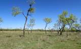 15351 Co Rd 129 - Photo 37