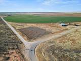 1405 Co Rd 237 - Photo 6