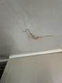 2119 26th Street - Photo 15