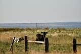  Co Rd 7A - Photo 51