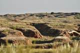  Co Rd 7A - Photo 52