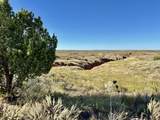  Co Rd 7A - Photo 59