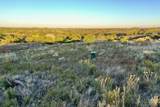  Co Rd 7A - Photo 9