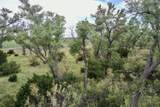  Highway 70 - Photo 8