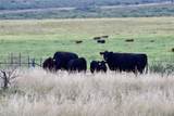  Highway 70 - Photo 81