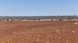  Farm To Market Road 656 - Photo 11