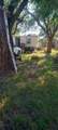 815 3rd Street - Photo 5