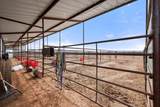 3013 15th Street - Photo 34