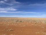  Farm-To-Market Road Road 303 - Photo 3