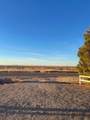 9205 County Road 7000 - Photo 41
