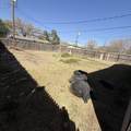 5608 46th Street - Photo 2