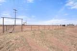 3263 Quail Road - Photo 42