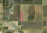 393, 399, 405, & 411 County Road 164 - Photo 1