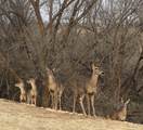 5 Lakeshore Drive - Photo 69