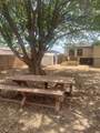 2312 1st Street - Photo 15
