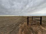 3253 Horseshoe Road - Photo 4