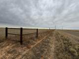 3253 Horseshoe Road - Photo 5