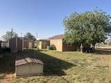 8120 Magnolia Avenue - Photo 17