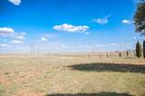 1851 County Road 390 - Photo 47