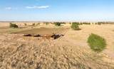 6010 County Road 1200 - Photo 1