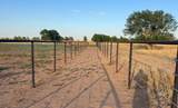 6010 County Road 1200 - Photo 19