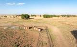 6010 County Road 1200 - Photo 8