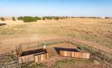 6010 County Road 1200 - Photo 9