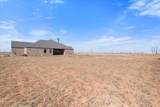 305 Maple Avenue - Photo 41