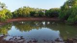  Texas 92 - Photo 11