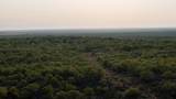  Texas 92 - Photo 26