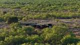  Texas 92 - Photo 27