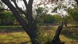  Texas 92 - Photo 36
