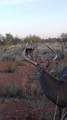  Texas 92 - Photo 45
