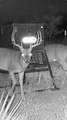  Texas 92 - Photo 46