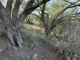 Texas 92 - Photo 51