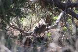  Texas 92 - Photo 8