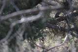  Texas 92 - Photo 9