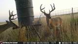  County Road 7 - Photo 1