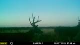  County Road 7 - Photo 50