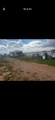 7020 Hwy 84 - Photo 9
