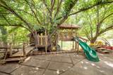 21 Brookhollow Drive - Photo 54