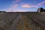 1283 County Road 12 - Photo 17
