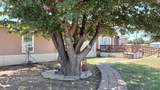 1930 Tulip Avenue - Photo 9