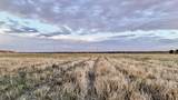  County Road W - Photo 15