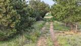 6761 County Road 11 - Photo 35