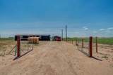4070 Playa Road - Photo 46
